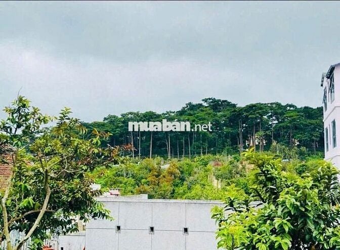 Mặt tiền đường Lê Hồng Phong, Phường 4, Đà Lạt Diện tích: 441 m²