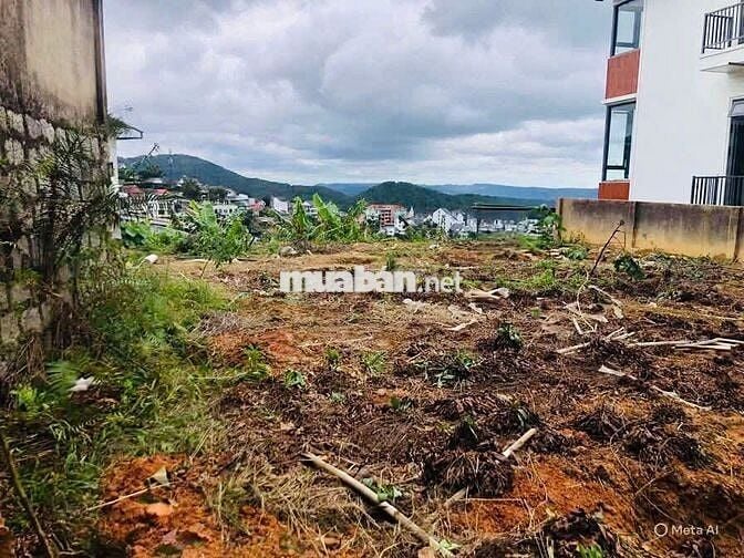Đất nền có vị trí tại Đường Khe Sanh, Phường 10, Đà Lạt, Lâm Đồng.
