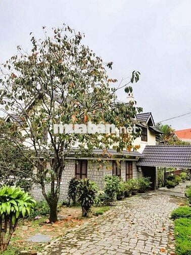 Bán lô đất mặt tiền Lê Hồng Phong - *Diện tích*: 1458m² với 300m² ODT