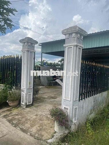 BÁN 105m2 ĐẤT THỔ CƯ Tặng nhà cấp 4 kiên cố  Ngã tư Xoài Đôi  đường 🚗