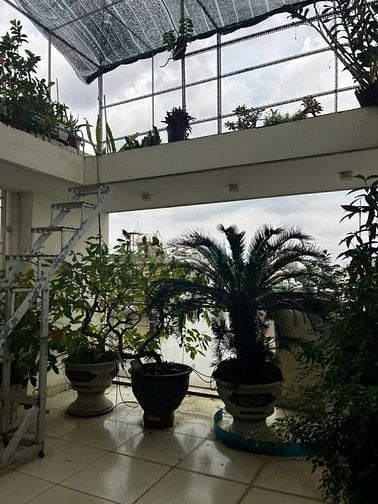 Bán nhà hẻm Đặng Thùy Trâm, P.13, Q.Bình Thạnh, 5x16m, 2 lầu