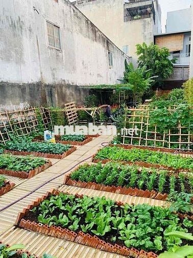 Bán Đất Tặng Vườn Rau Sạch Ngay Đường Linh Đông-Thủ Đức Bao Đẹp