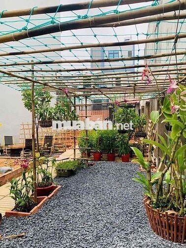 Bán Đất Tặng Vườn Rau Sạch Ngay Đường Linh Đông-Thủ Đức Bao Đẹp