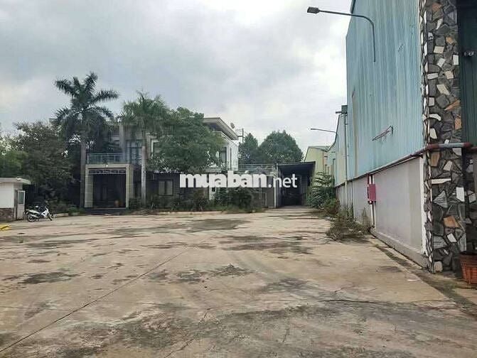 Cho thuê xưởng 3500m2 tại An Điền Bến Cát Bình Dương