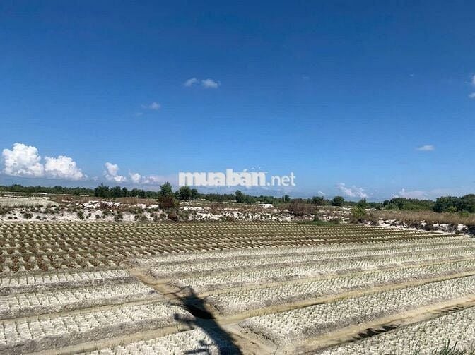 Chỉ với 420 triệu sở hữu ngay mảnh 999,8m2 tại Thăng Bình, Đà Nẵng