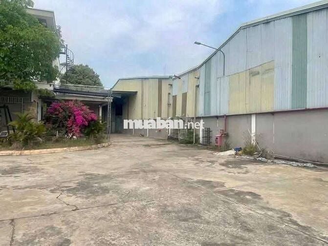 Cho thuê xưởng 3500m2 tại An Điền Bến Cát Bình Dương