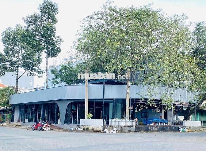 Cho Thuê Mặt Bằng 290m2, góc Ngã 4 KDC Bình Hưng