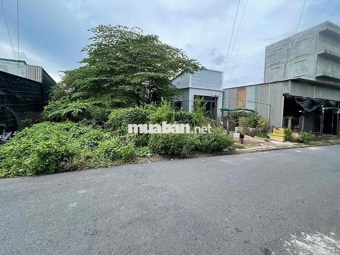 bán 110m2 đất Tam Thôn Hiệp Cần Giờ TPHCM 2,4ty