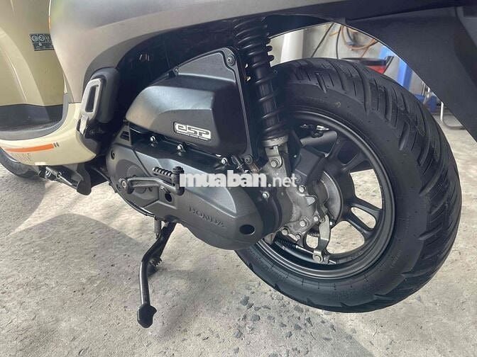 scoopy 2023