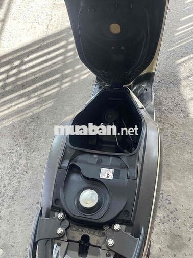 scoopy 2023