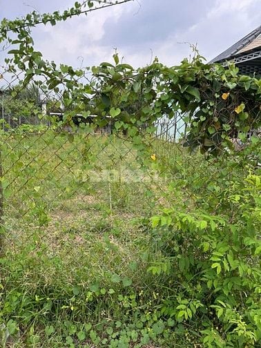 275m2 có thổ cư. ngang 6m. Nở hậu. Gần trường học. 450tr 