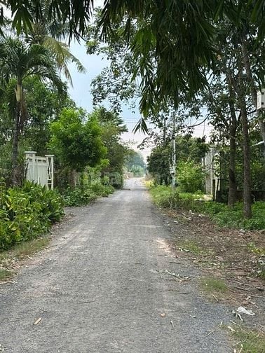 275m2 có thổ cư. ngang 6m. Nở hậu. Gần trường học. 450tr 