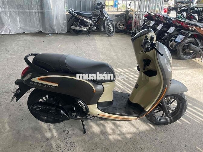 scoopy 2023