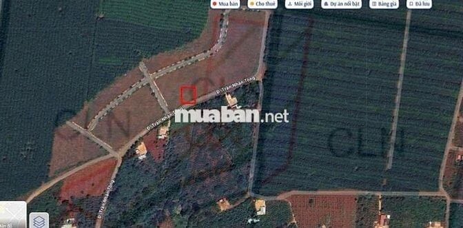 Bán lô 10x30 KDC Thôn Ia Ring, Xã Ia Tiêm, Huyện Chư Suê