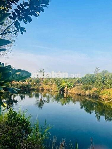 CHÍNH CHỦ BÁN 20.000 M2 ĐẤT XUYÊN MỘC – BR-VT (nay thuộc TP.HCM)
