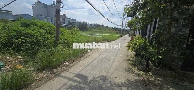Bán đất vườn 2 mặt tiền đường 4m. Khu vực Tô Ngọc Vân Q12 TPHCM