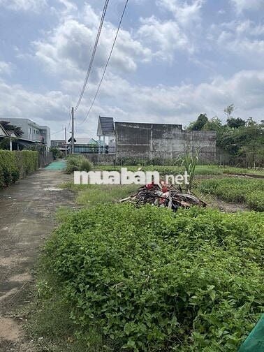 96m2 full thổ cư đường xe hơi tại mỹ lộc Cần Giuộc
