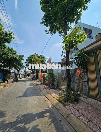 🔥ĐẤT MT Nhựa 12m Thông-5X20m-1 Xẹc Phan Văn Hớn Vào 80m