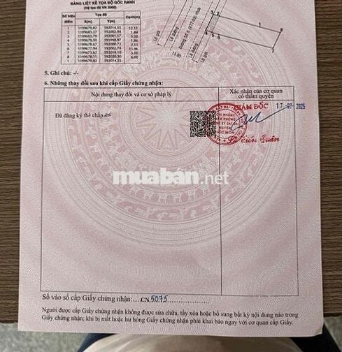 🔥ĐẤT MT Nhựa 12m Thông-5X20m-1 Xẹc Phan Văn Hớn Vào 80m