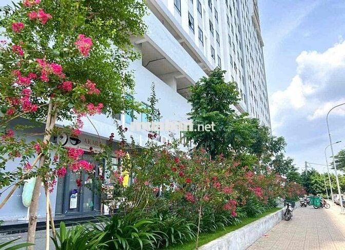 Cho thuê Shop house 72m2 chung cư The Marina Bình Hoà Thuận An