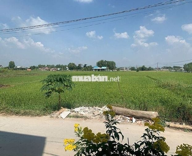 Bán đất Đức Hòa Đông, mặt tiền lớn, 1424m², giá 7 tỷ (TL)