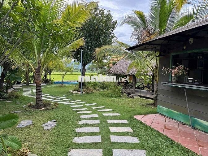 BÁN KHU VƯỜN HOMESTAY NGHỈ DƯỠNG MINI - VIEW NÚO ĐỒNG RỘNG ĐẲNG CẤP