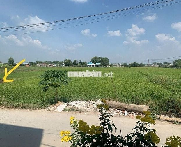 Bán đất Đức Hòa Đông, mặt tiền lớn, 1424m², giá 7 tỷ (TL)