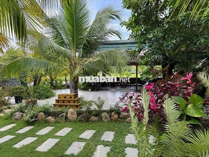 BÁN KHU VƯỜN HOMESTAY NGHỈ DƯỠNG MINI - VIEW NÚO ĐỒNG RỘNG ĐẲNG CẤP