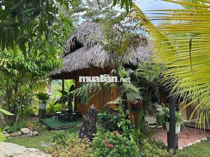 BÁN KHU VƯỜN HOMESTAY NGHỈ DƯỠNG MINI - VIEW NÚO ĐỒNG RỘNG ĐẲNG CẤP