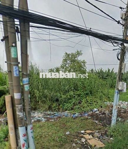 Đất rẻ trong khu vực ,SHR,Đ Trịnh Quang Nghị, xã Phong Phú, Bình Chánh