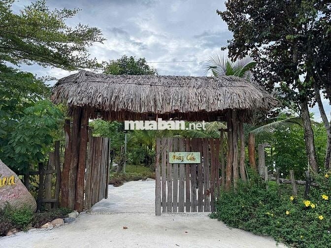 BÁN KHU VƯỜN HOMESTAY NGHỈ DƯỠNG MINI - VIEW NÚO ĐỒNG RỘNG ĐẲNG CẤP