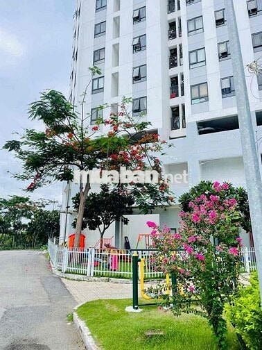Cho thuê Shop house 72m2 chung cư The Marina Bình Hoà Thuận An
