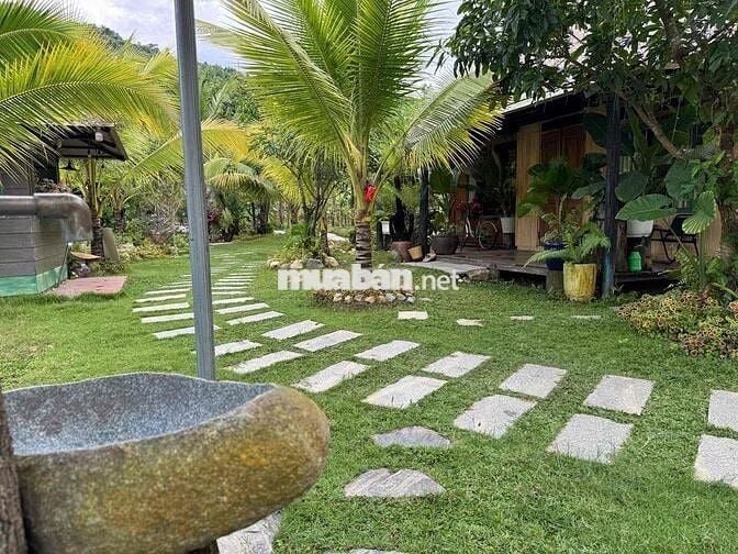BÁN KHU VƯỜN HOMESTAY NGHỈ DƯỠNG MINI - VIEW NÚO ĐỒNG RỘNG ĐẲNG CẤP