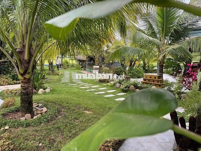 BÁN KHU VƯỜN HOMESTAY NGHỈ DƯỠNG MINI - VIEW NÚO ĐỒNG RỘNG ĐẲNG CẤP