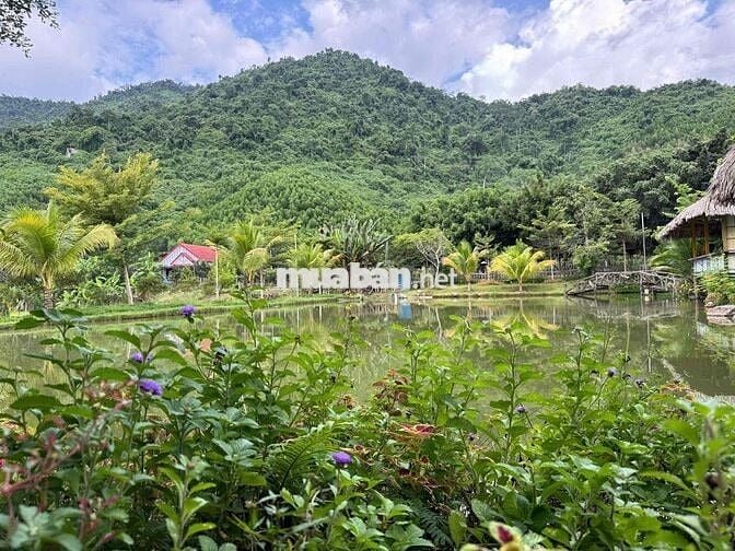 BÁN KHU VƯỜN HOMESTAY NGHỈ DƯỠNG MINI - VIEW NÚO ĐỒNG RỘNG ĐẲNG CẤP