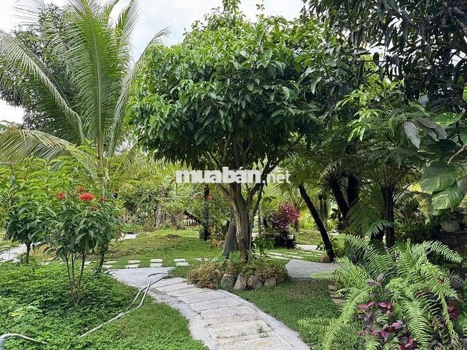 BÁN KHU VƯỜN HOMESTAY NGHỈ DƯỠNG MINI - VIEW NÚO ĐỒNG RỘNG ĐẲNG CẤP
