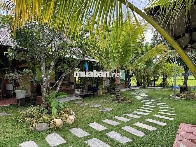 BÁN KHU VƯỜN HOMESTAY NGHỈ DƯỠNG MINI - VIEW NÚO ĐỒNG RỘNG ĐẲNG CẤP