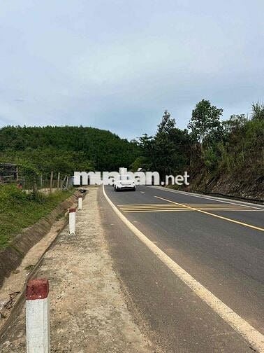 CHÍNH CHỦ BÁN ĐẤT VƯỜN VIEW SÔNG - MẶT TIỀN RỘNG 58m