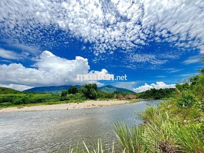 CHÍNH CHỦ BÁN ĐẤT VƯỜN VIEW SÔNG - MẶT TIỀN RỘNG 58m