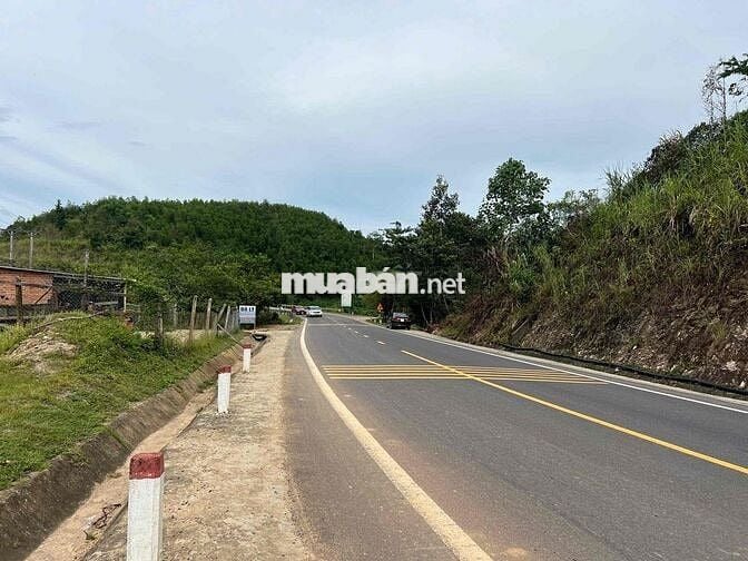 CHÍNH CHỦ BÁN ĐẤT VƯỜN VIEW SÔNG - MẶT TIỀN RỘNG 58m
