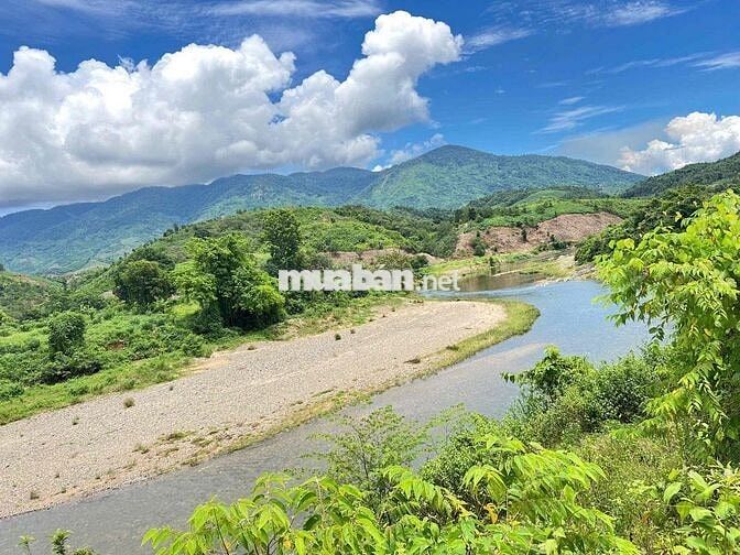 CHÍNH CHỦ BÁN ĐẤT VƯỜN VIEW SÔNG - MẶT TIỀN RỘNG 58m