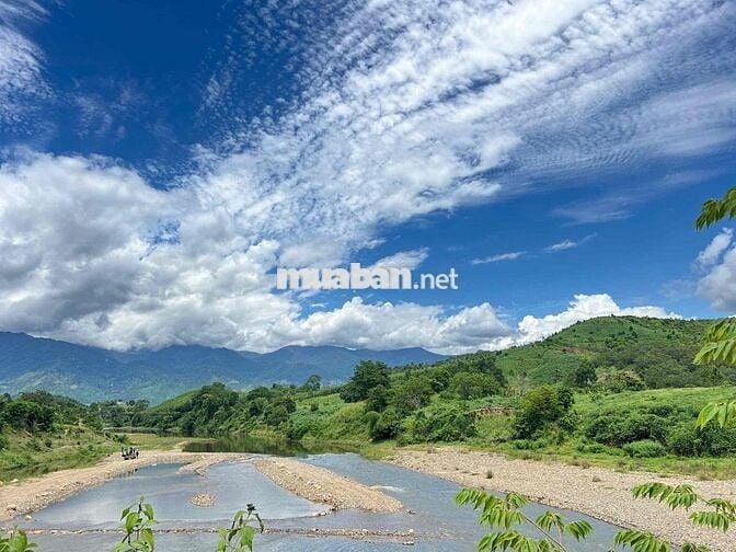 CHÍNH CHỦ BÁN ĐẤT VƯỜN VIEW SÔNG - MẶT TIỀN RỘNG 58m