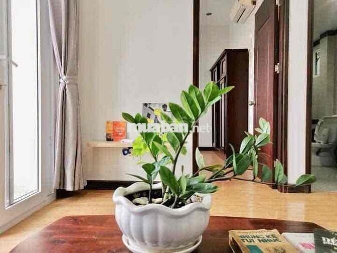 Căn Hộ 1PN Cạnh Phú Mỹ Hưng Quận 7 - Sẵn Nội Thất Máy Giặt Riêng