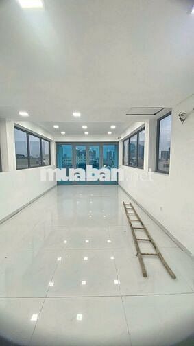 🏠CHO THUÊ TÒA NHÀ 6 TẦNG KẾ PHÚ MỸ HƯNG CÓ THANG MÁY