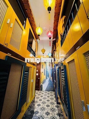 Giường Ký Túc Xá Trung Tâm Cho Nữ