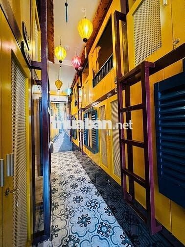 Giường Ký Túc Xá Trung Tâm Cho Nữ
