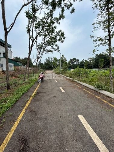 🔥🔥🔥Bán 60,1m2 Vĩnh Lộc_ Thiên Mã Cách QL21 500m 