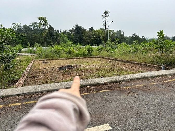 🔥🔥🔥Bán 60,1m2 Vĩnh Lộc_ Thiên Mã Cách QL21 500m 