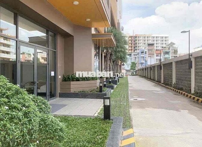 CH ASIANA CAPELLA MỚI, CÓ THANG MÁY - TRẦN VĂN KIỂU -  8.4X9.5 (67M2)