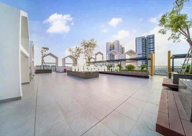 CH ASIANA CAPELLA MỚI, CÓ THANG MÁY - TRẦN VĂN KIỂU -  8.4X9.5 (67M2)